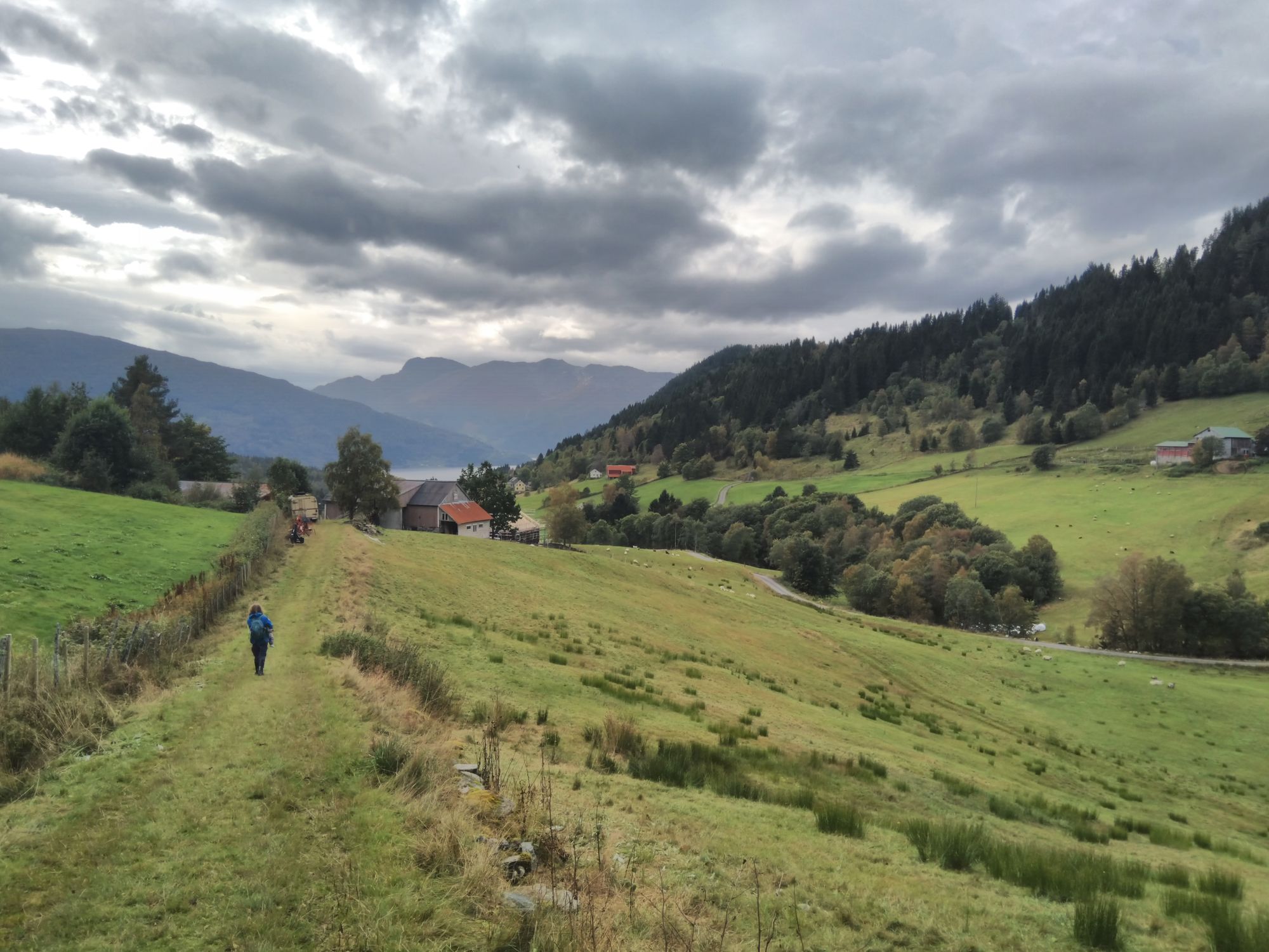 Terug op vertrouwde grond