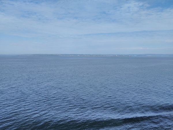 Terug in ons nieuwe land