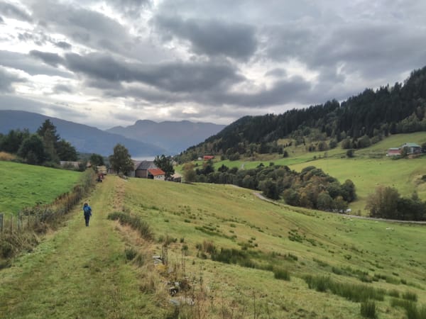 Terug op vertrouwde grond